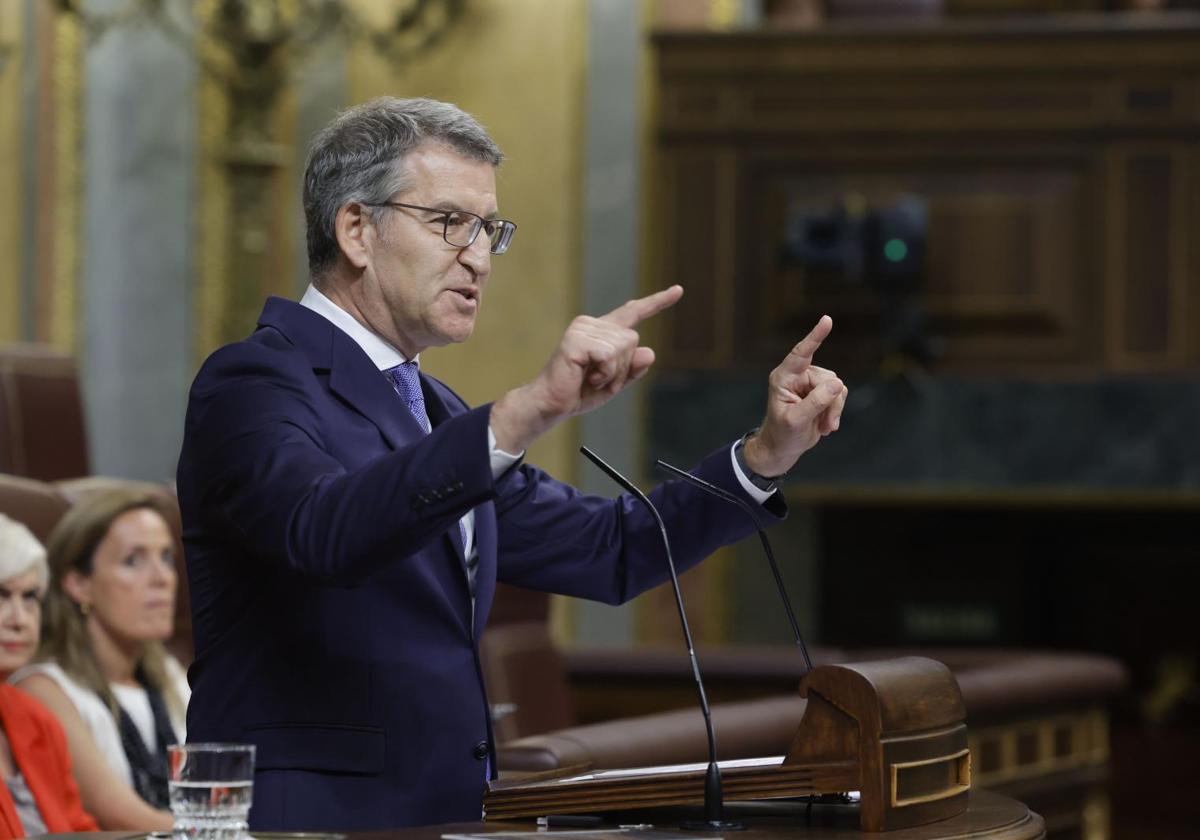 Alberto Núñez Feijóo, presidente del PP, en la tribuna del Congreso