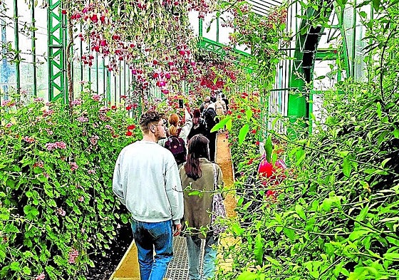 Se tarda hora y media en recorrer los pasillos y galerías de los invernaderos.
