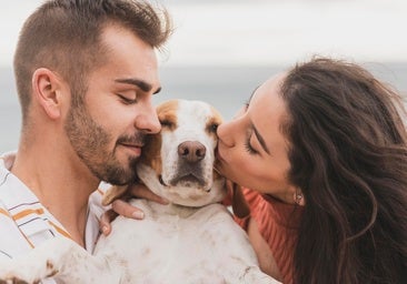 Disfruta del verano y de tus vacaciones, pero siempre con tu perro al lado