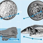 Más arroz y menos frescos: la subida de precios revoluciona la cesta de la compra