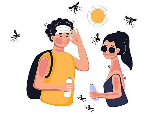 El verano me enferma: picaduras, quemaduras solares, intoxicaciones alimentarias...