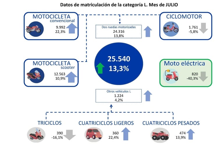 Datos de matriculación facilitados por MSI