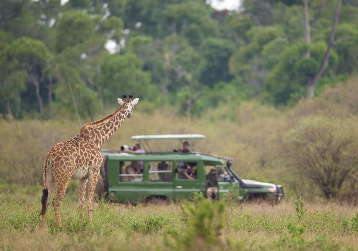 Imagen de archivo de un safari en Tanzania