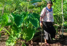 Mujer indígena trabaja la tierra.