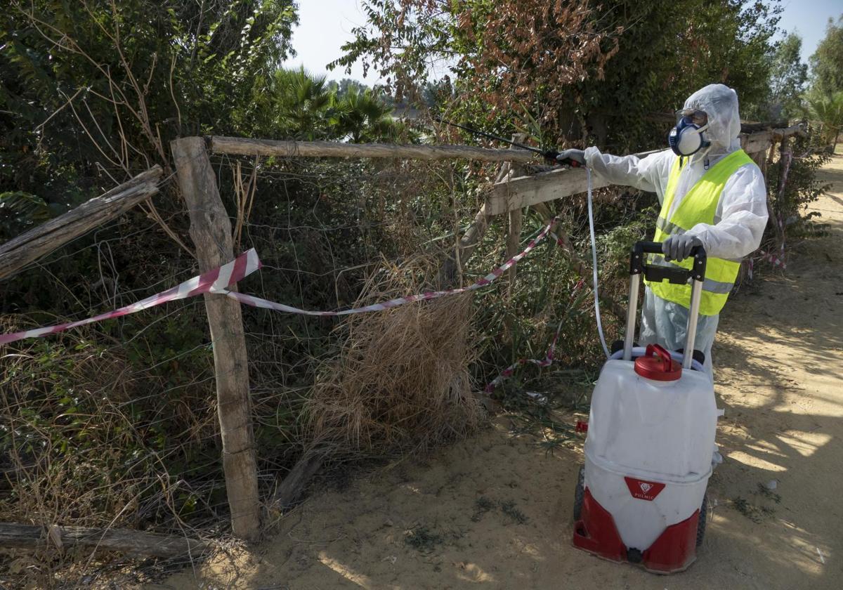 Tareas de fumigación en la Puebla del Río, Sevilla, por zonas cercanas al río Guadalquivir, así como humedales, para intentar evitar la propagación del mosquito que transmite la enfermedad.