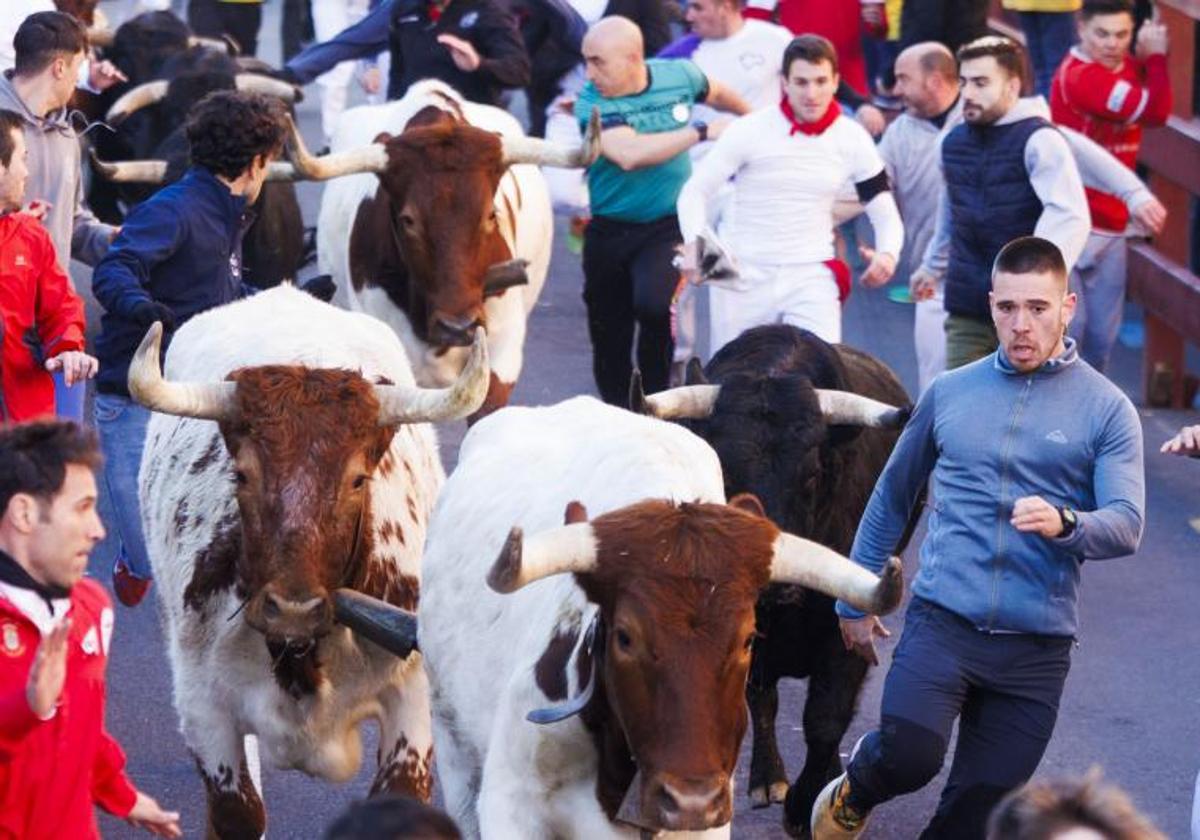 Imagen de archivo de un encierro en San Sebastián de los Reyes