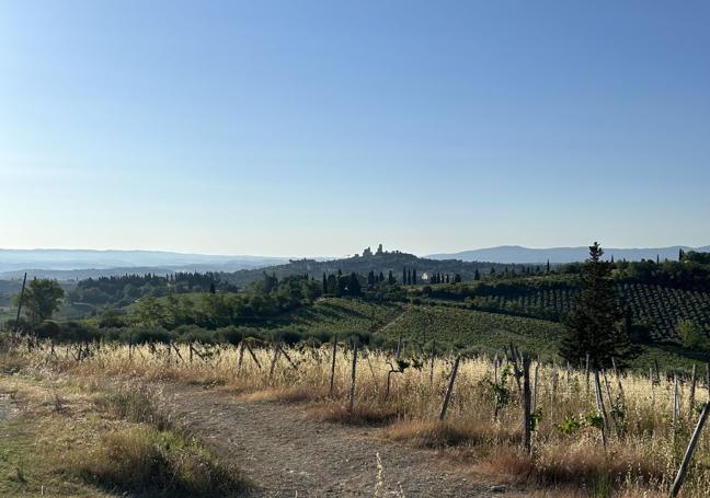 Perfil de San Gimignano en lontananza.