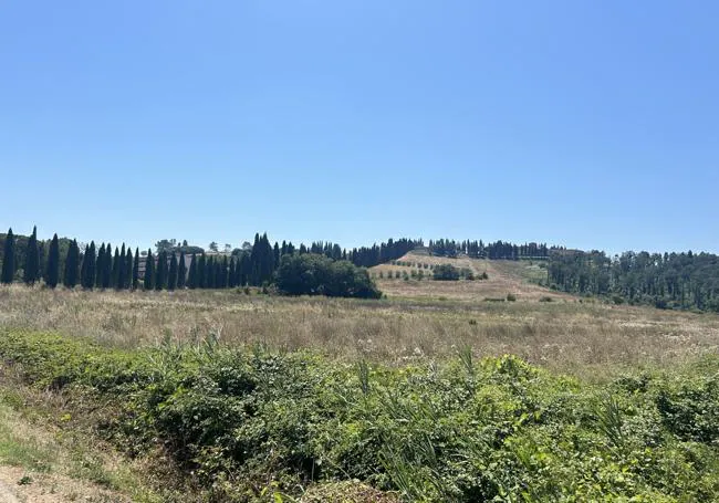 Paisaje de los alrededores de Radicofani.