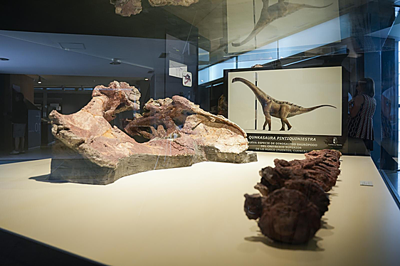 Así es el nuevo dinosaurio descubierto en Cuenca gracias a las obras del AVE