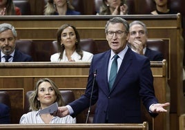 Alberto Núñez Feijóo, presidente del PP, en la sesión de control de este miércoles