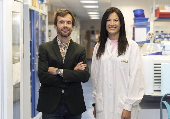 Manuel Valiente y Neibla Priego, en su laboratorio del CNIO.