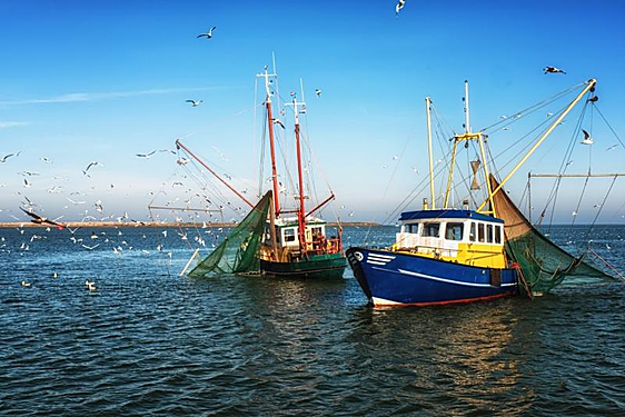 Dos barcos pesqueros