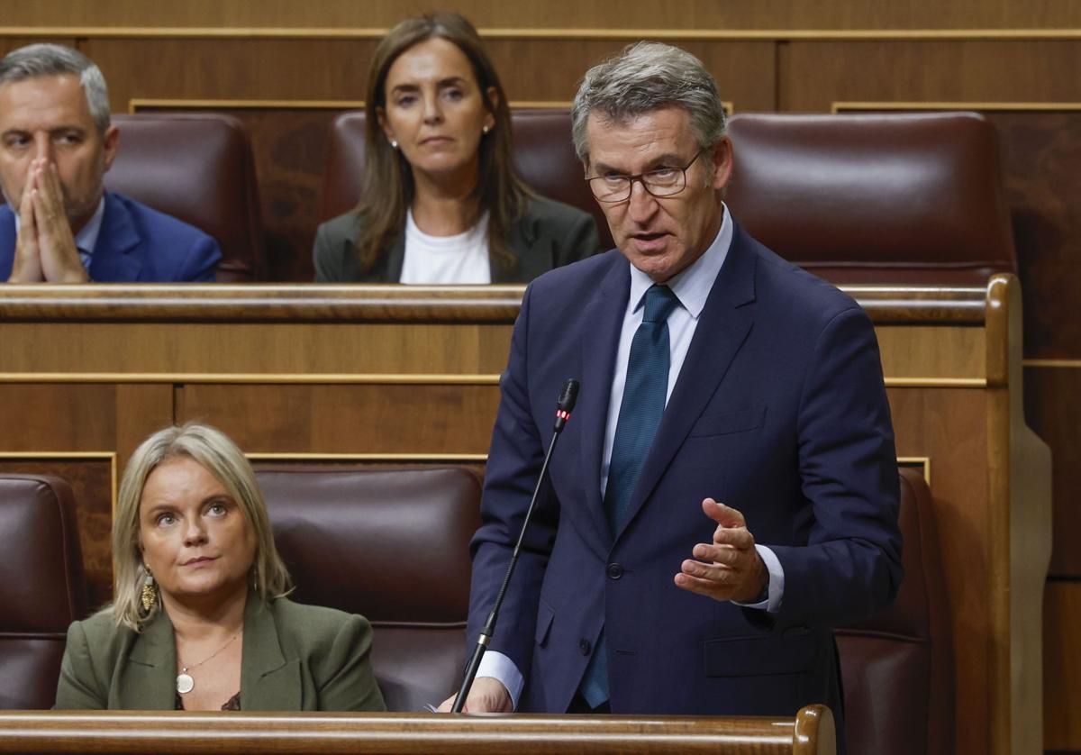 El presidente del PP, Alberto Núñez Feijóo, interpela este miércoles al presidente del Gobierno junto a la también diputada popular Marimar Blanco, cuyo hermano fue asesinado por ETA.