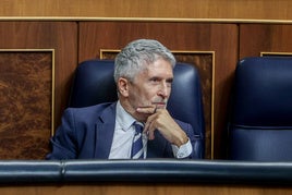 El ministro del Interior, Fernando Grande-Marlaska en la sesión de control al Gobierno este miércoles en el Congreso