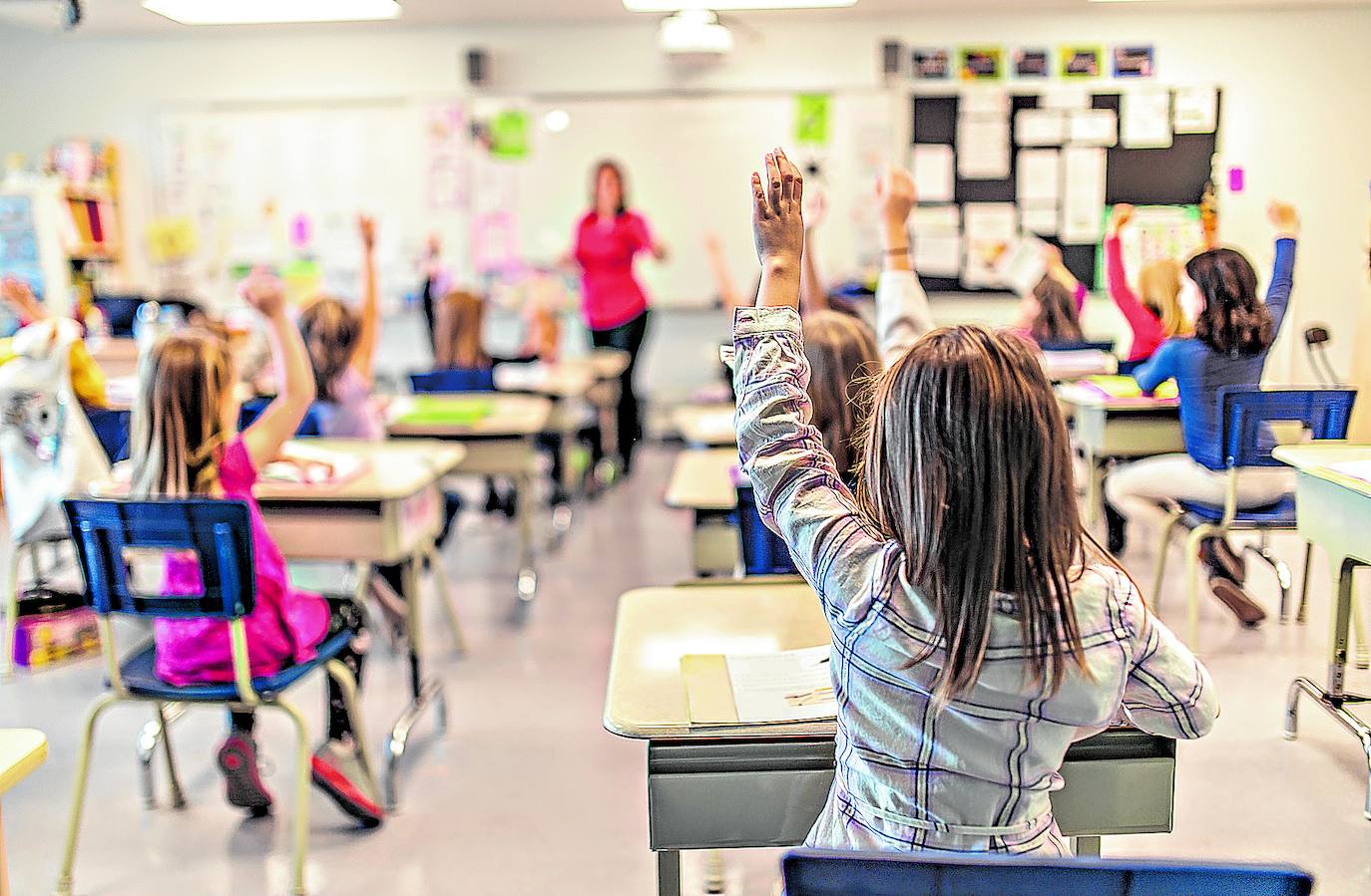 Los alumnos expulsados por indisciplina deberán hacer cursos reeducativos.