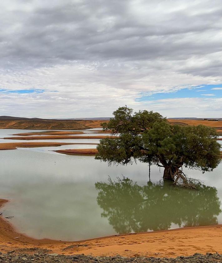 Imagen secundaria 2 - Lagunas de agua en las dunas del desierto de Merzouga (Marruecos).