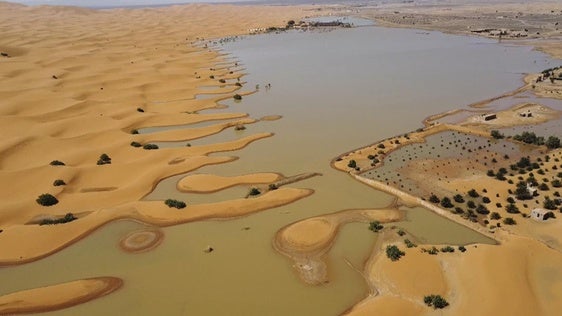 Lagunas de agua en las dunas del desierto de Merzouga (Marruecos).