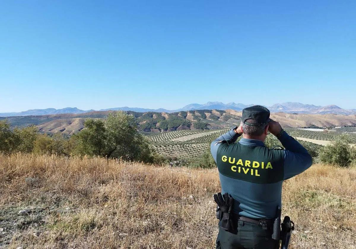 Un Guardia Civil, durante las labores de búsqueda de la avioneta, este lunes.