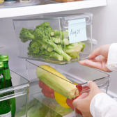 Caja transparente KLIPPKAKTUS