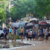 Los destrozos causados por la DANA, en imágenes