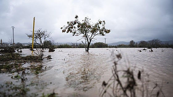 Turís batió el récord de lluvias en una hora en España: 179 litros por metro cuadrado