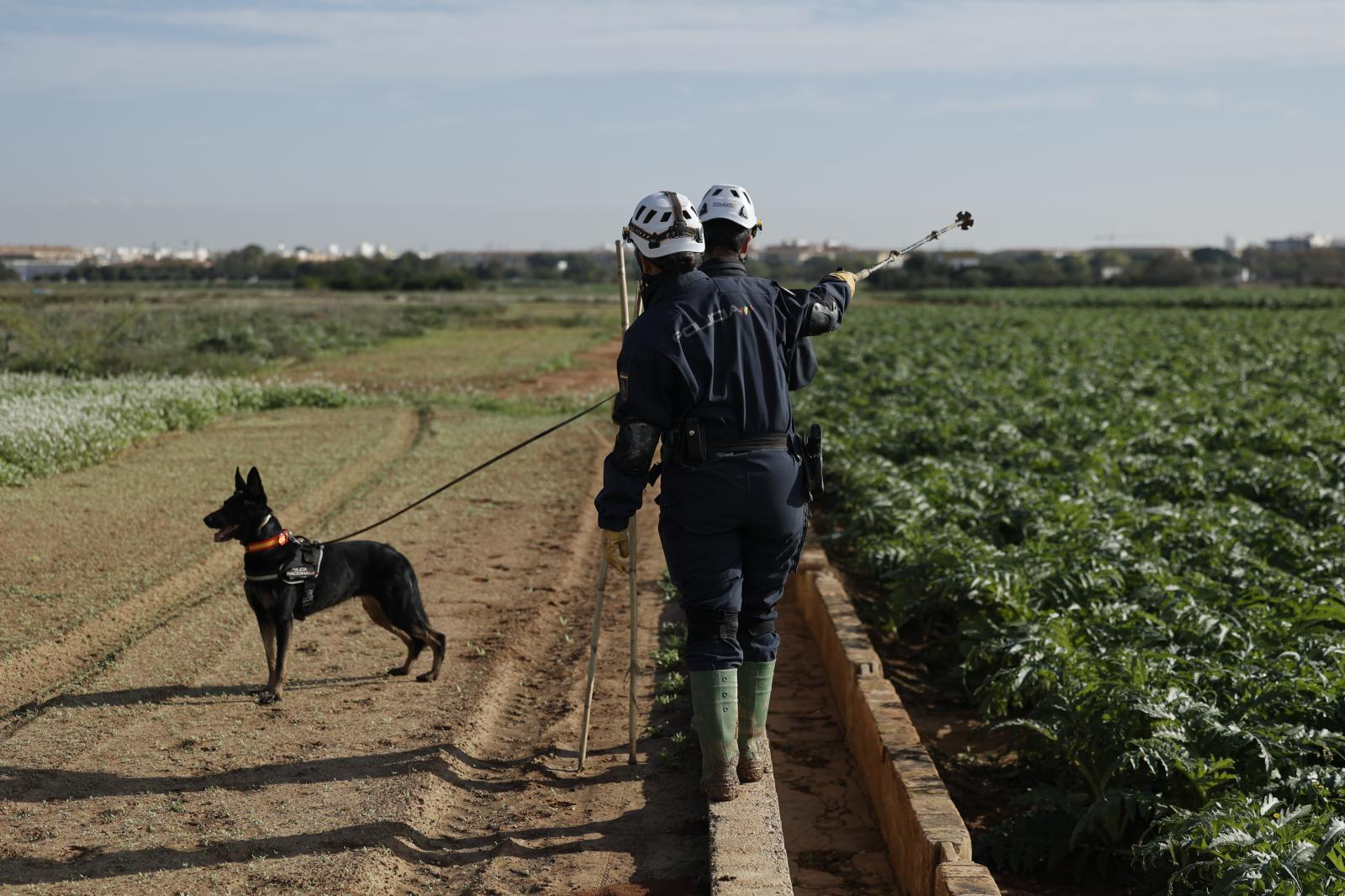 Efectivos de la Policía Nacional con perros realiza labores de búsqueda