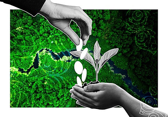 COP29: una cita para llenar la hucha contra el cambio climático