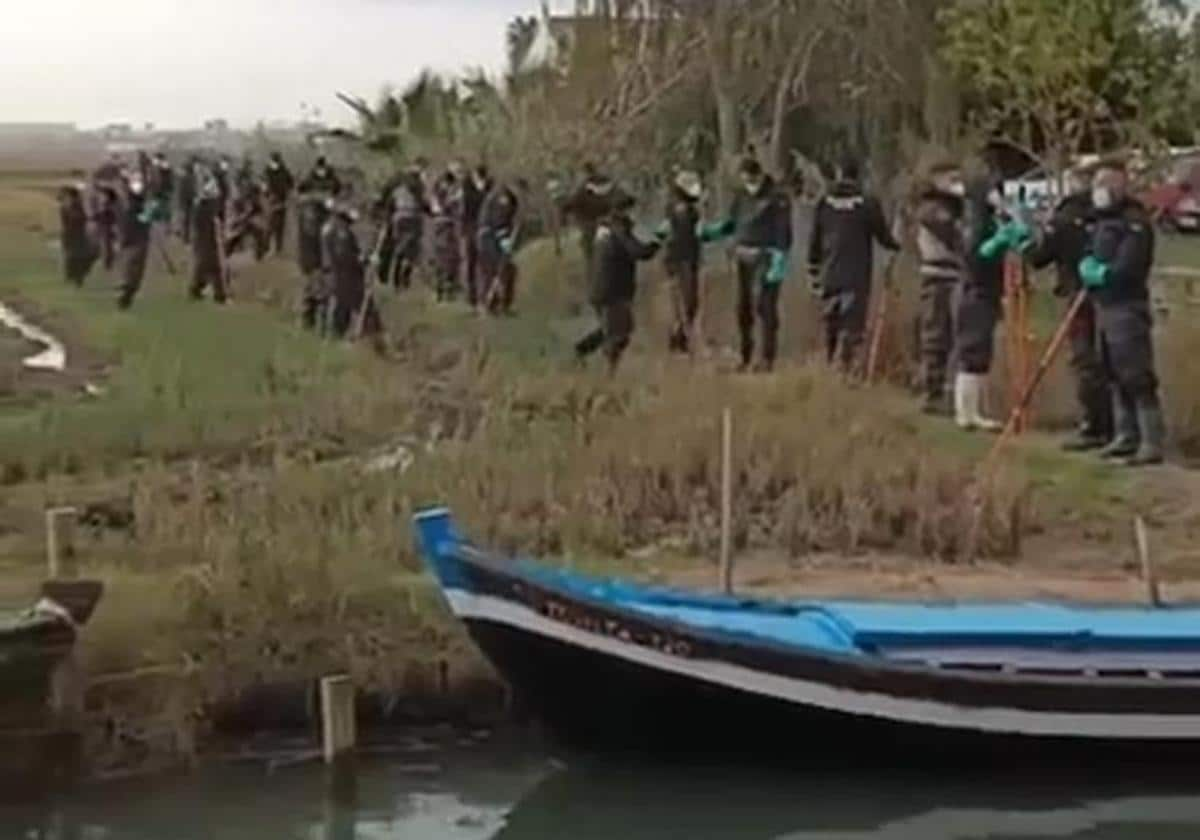 La búsqueda de los desaparecidos tras la DANA lleva a rastrear metro a metro l'Albufera