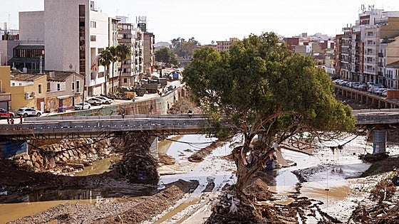 Aumentan a 220 las víctimas mortales por la DANA en Valencia tras hallar el cuerpo de una mujer en Torrent