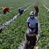 La industria agroalimentaria teme las deportaciones masivas de Trump