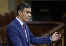 El presidente del Gobierno, Pedro Sánchez, comparece en el Congreso.