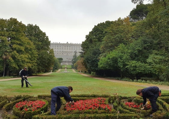 Trabajadores de Patrimonio Nacional cuidan los jardines del Palacio Real de Madrid.