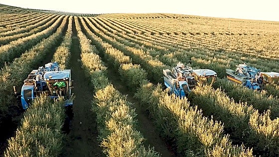 El primer unicornio agro español lanza una calculadora de carbono en tiempo real