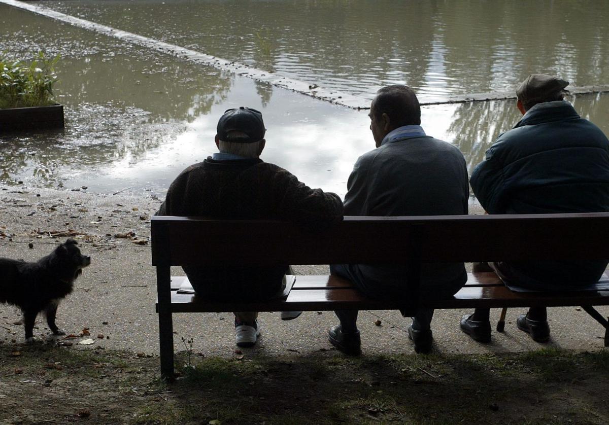 La OCDE pide eliminar el rescate anticipado de planes de pensiones