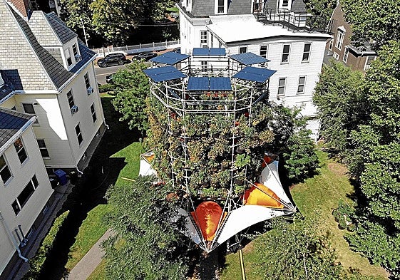 El primer Polinature, instalado en el campus de la Escuela de Diseño de la Universidad de Harvard (EE UU).