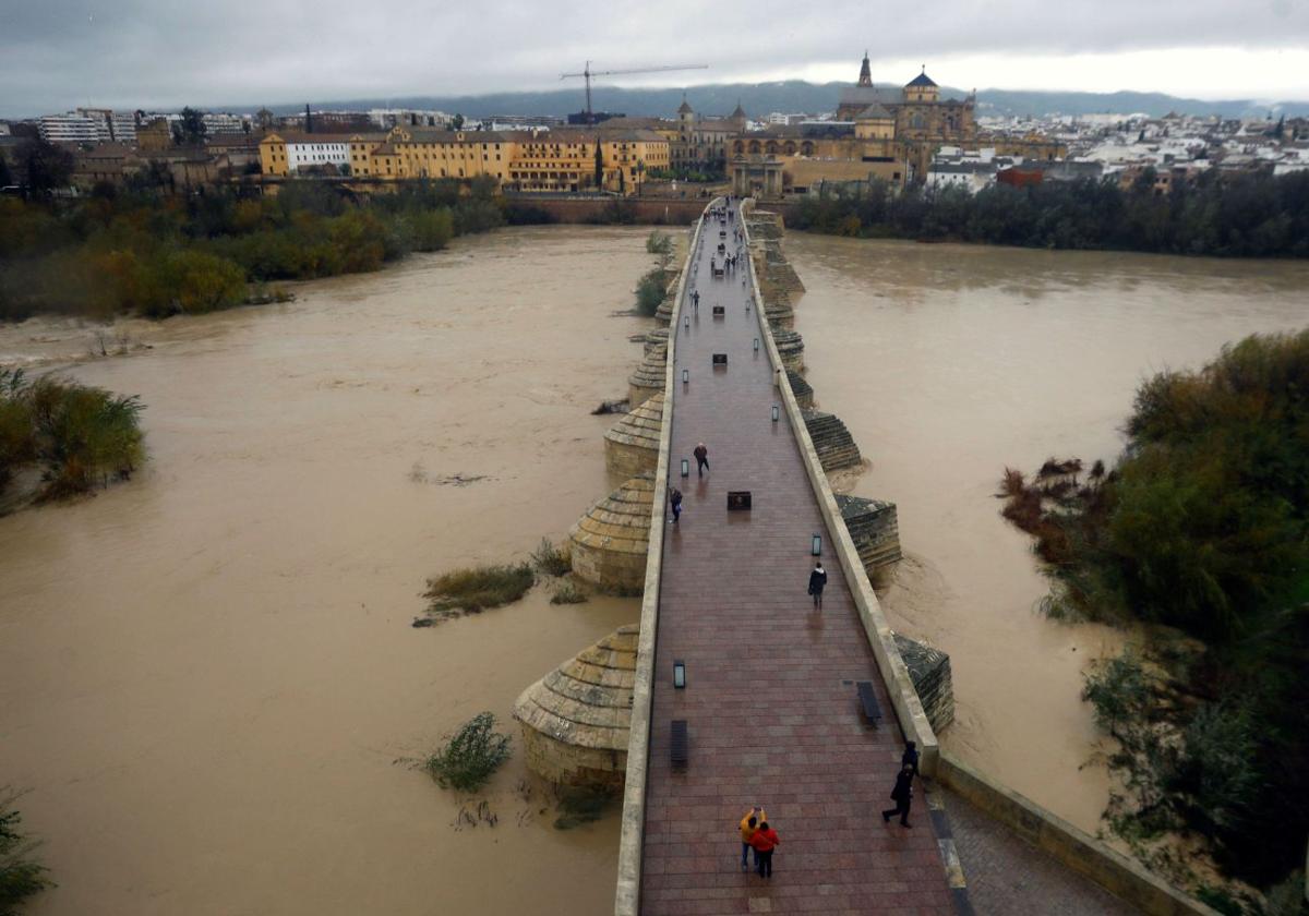 Imagen de la crecida del río Guadalquivir a su paso por el Puente Romano de Córdoba