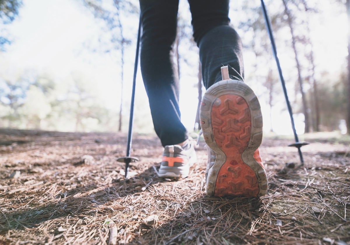 Botas de montaña para hacer senderismo incluso con mal tiempo