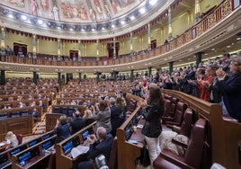 Pleno del Congreso de los Diputados.