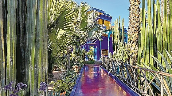 El oasis azul cumple un siglo