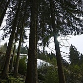 La Policía de Georgia investiga la aparición de doce cadáveres en un restaurante