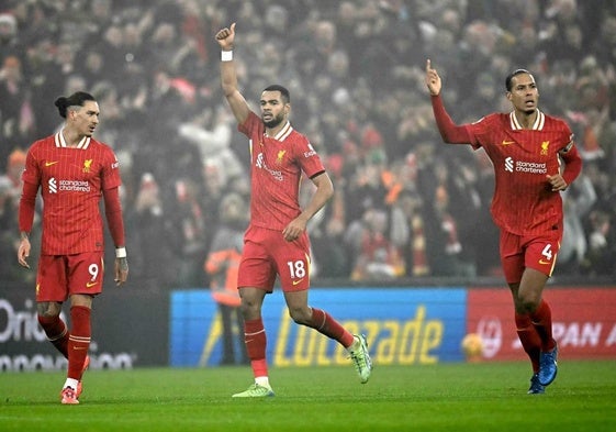 Darwin Núñez, Gakpo y Van Dijk celebran el gol del neerlandés al Leicester.