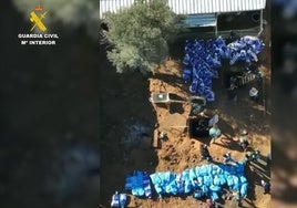 Intervención de los agentes de la Guardia Civil en la finca de Coria del Río.