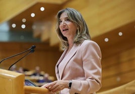 Alicia García, portavoz del PP en el Senado, y Juan Bravo, vicesecretario de Economía del partido