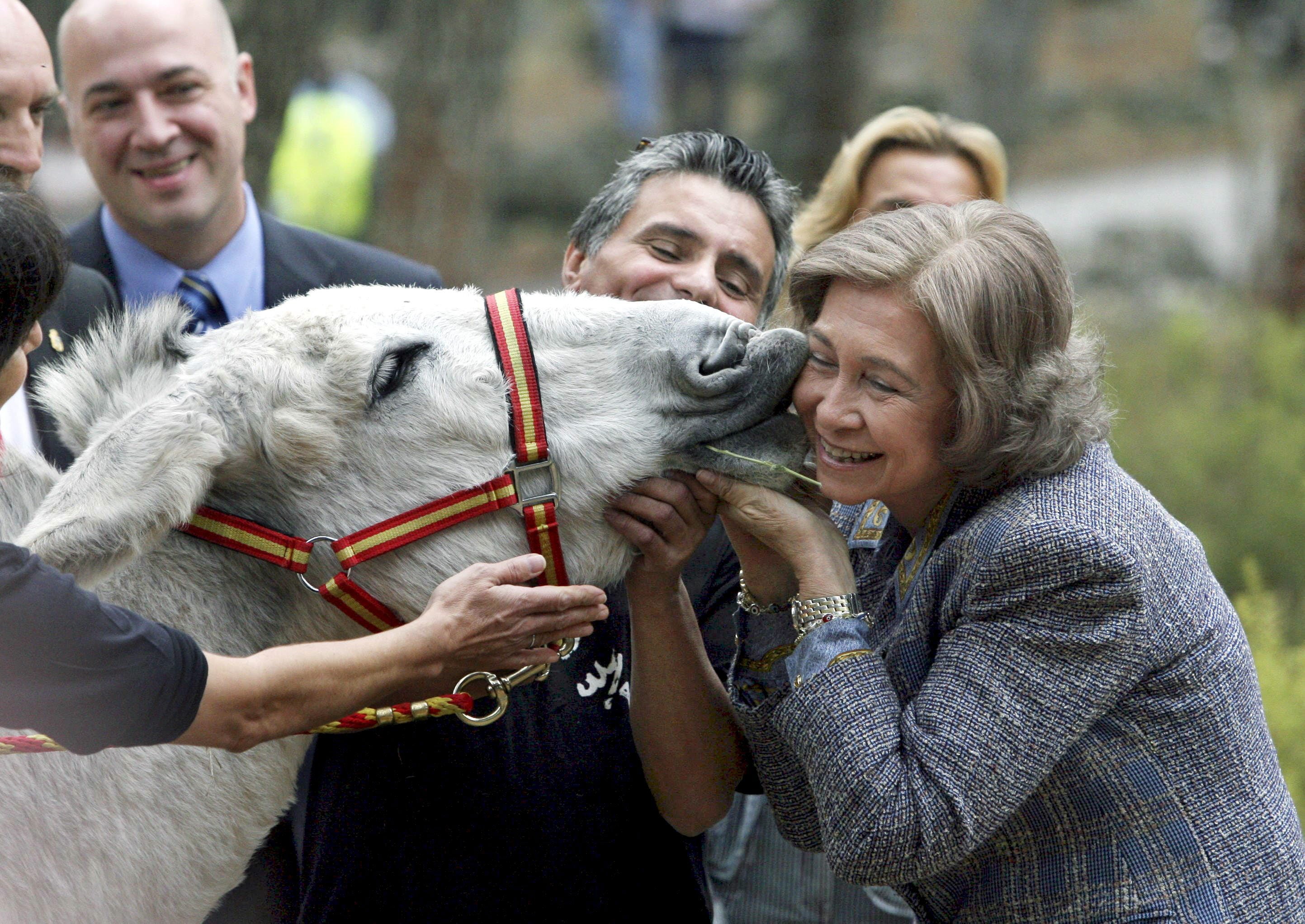 La Reina Sofía en una visita que ha realizado a la Fundación Casa del Burro en la localidad cordobesa de Rute.