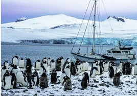 El velero en el que Antonio Alcamí realiza la expedición antártica, en la revista Nature.