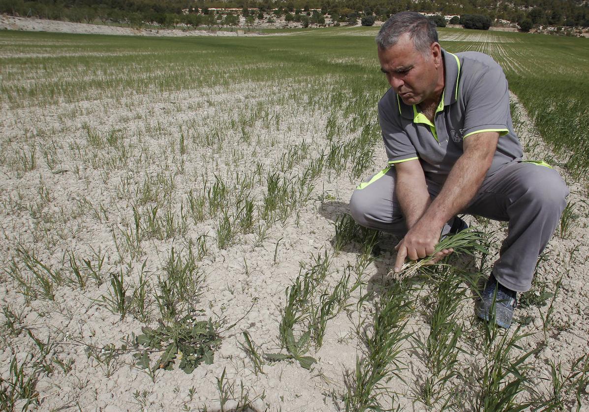 El campo es uno de los sectores más afectados por la subida del salario mínimo.