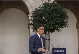 El presidente del Gobierno, Pedro Sánchez, interviene tras una reunión con agentes sociales, en la Delegación del Gobierno en la Comunidad Valenciana