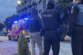 Agentes de la Policía en Madrid