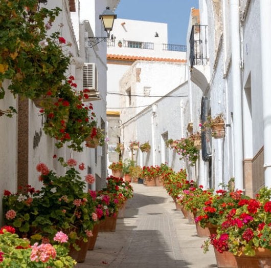 Ni Mojácar ni Níjar, el pueblo más bonito de Almería tiene más macetas con flores que habitantes