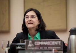 La presidenta de la Comisión Nacional de los Mercados comparece en la Comisión de Economía, Comercio y Transformación Digital